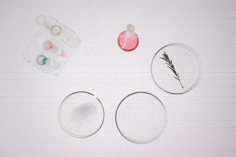 petri dishes with leaves and liquids