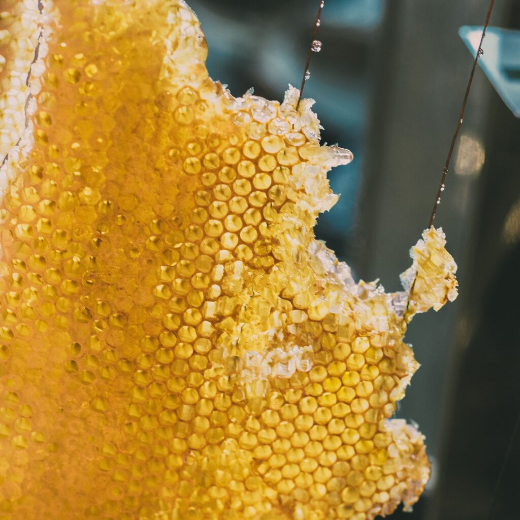 Beeswax close up
